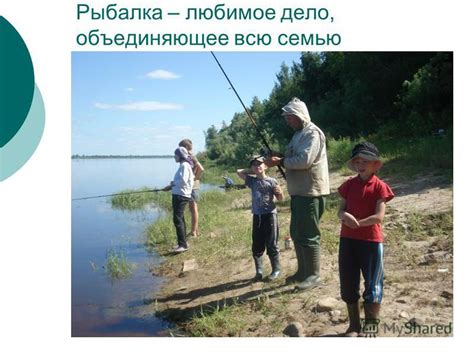 Влияние погодных условий на возникновение гнили