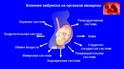 Влияние пониженного уровня гСг на организм женщины