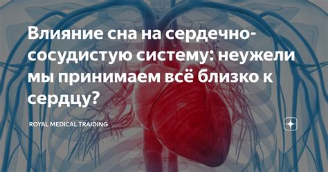 Влияние превышения магния на сердечно-сосудистую систему