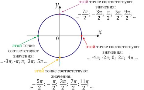 Влияние радиуса на длину числовой окружности