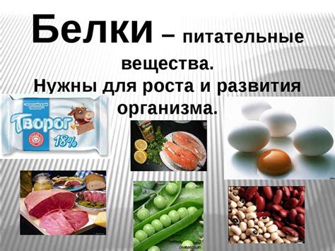 Влияние реактивного белка на организм