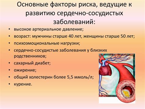 Влияние сахара на состояние сердечно-сосудистой системы