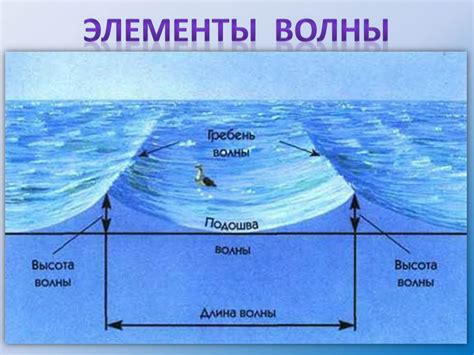 Влияние сезонных изменений на волны в океане