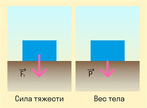 Влияние силы притяжения на объекты