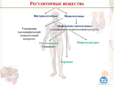 Влияние синильной кислоты на функции организма