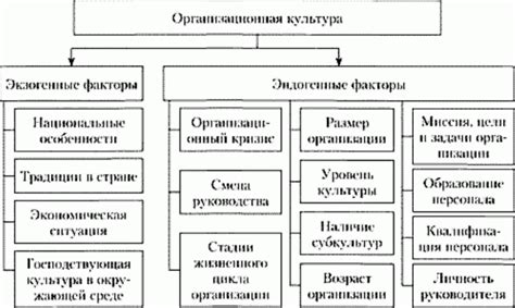 Влияние факторов на формирование кортикальных борозд