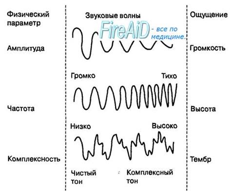 Влияние физиологических параметров на обработку звуковых сигналов