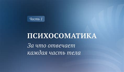 Влияние физиологических процессов на наши восприятия