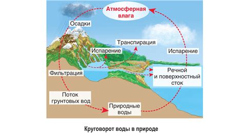 Влияние человека на круговорот воды