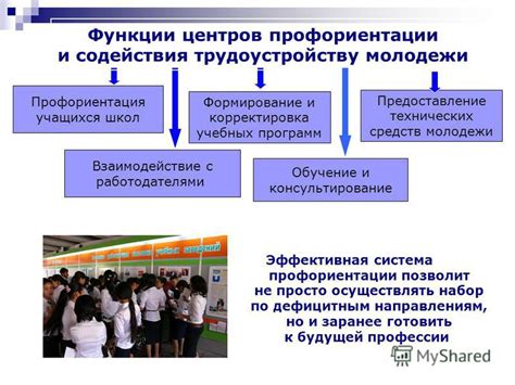 Влияние школ на молодежь России: профориентация и образовательные стандарты