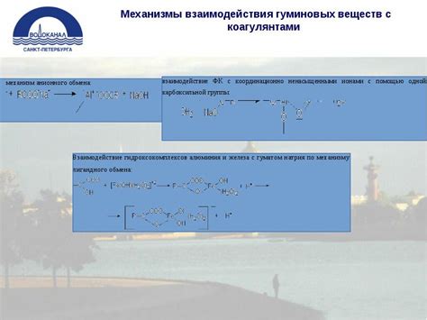 Влияние энзимов на основные процессы очистки