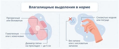 Влияющие факторы на появление белых выделений из влагалища