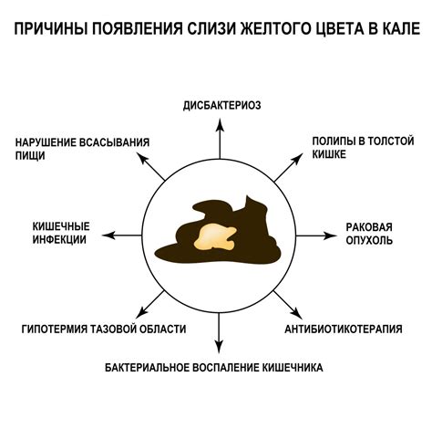 Внешние причины появления слизи в кале