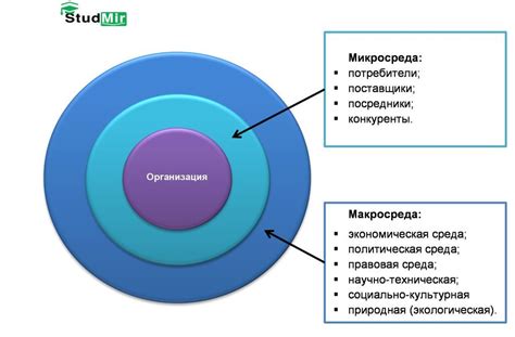 Внешняя среда управления и конкурентная среда