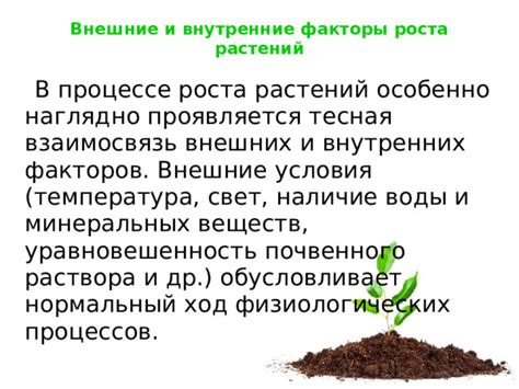 Внутренние условия для растений