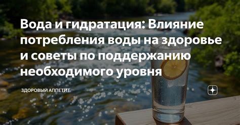 Вода и гидратация