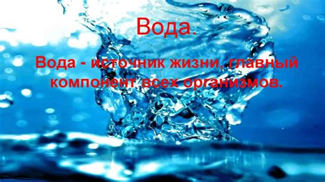 Вода - главный источник жизни