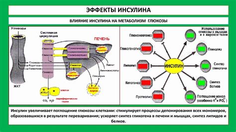 Воздействие вредных веществ на волосы