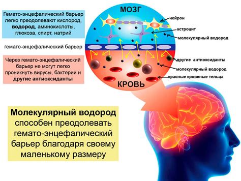 Воздействие вредных факторов на нервную систему