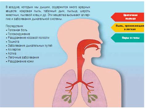 Воздействие загрязнения на человека