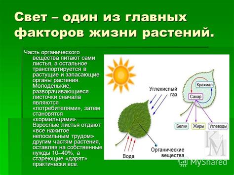 Воздействие запотевания на качество света