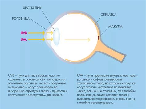 Воздействие контактных линз на глаза