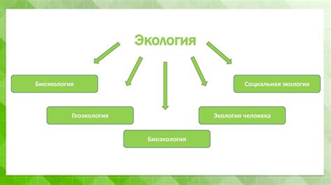 Воздействие окружающей среды на состояние сосудов