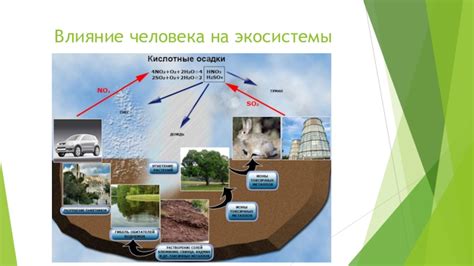 Воздействие человека на экосистемы