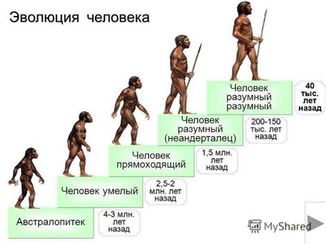 Возможное происхождение человека от обезьян