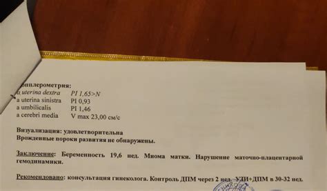 Возможности лечения и профилактики нарушения маточно плацентарной гемодинамики