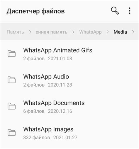 Возможности папки voice notes в WhatsApp