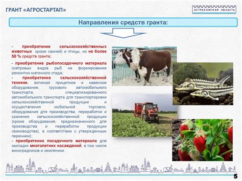 Возможности развития КФХ в современных условиях