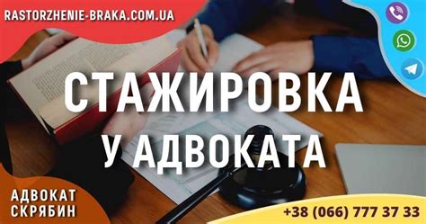 Возможности стажировки адвоката