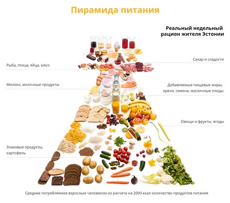 Возможность достаточного питания без мяса и продуктов животноводства