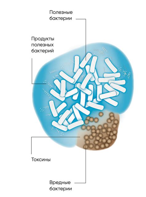 Возможность замедления роста патогенных бактерий