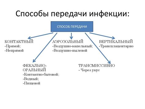 Возможность передачи инфекций через укус