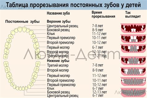 Возможность смены стоматолога