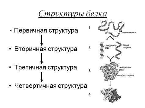 Возможные изменения структуры белка