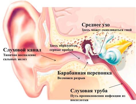 Возможные причины воспаления левого уха