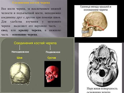 Возможные проблемы соединения костей черепа