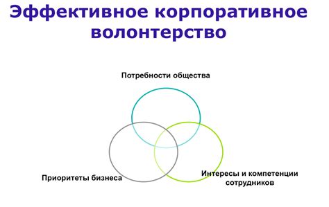 Волонтерство: основные черты и значение в обществе