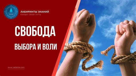 Воля и свобода выбора в исполнении