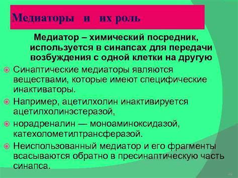 Воспалительные медиаторы и их роль в кровотоке