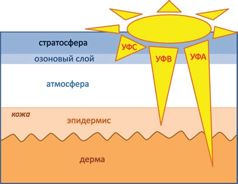 Вредные солнечные лучи и их влияние на кожу