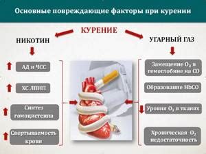 Вред для сердечно-сосудистой системы