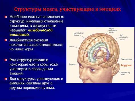 Врожденные аномалии, ведущие к нарушениям взаимодействия мозговых структур