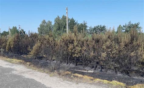 Вспышка пожара в окрестностях Белоярского района