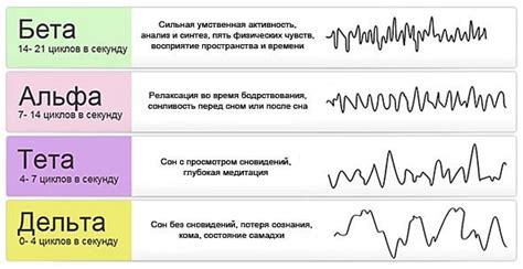 Вспышки тета волн и их роль в процессе обучения