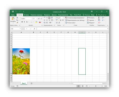 Вставка графических объектов в ячейку таблицы MS Excel