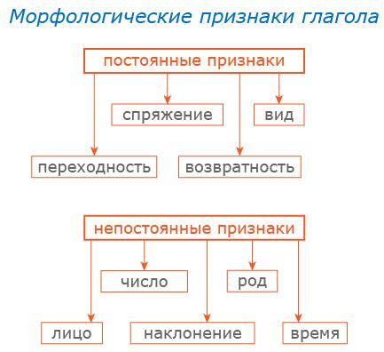 Второе: Постоянные и непостоянные признаки